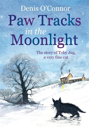 Paw Tracks in the Moonlight 