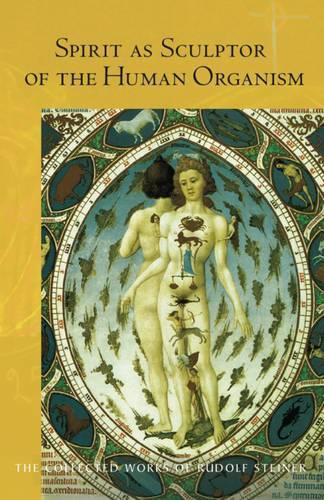 

Spirit as Sculptor of the Human Organism