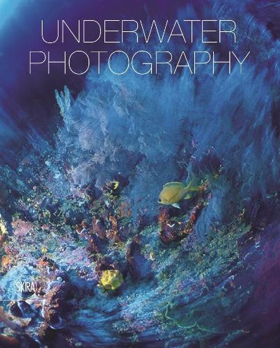 Underwater photography 