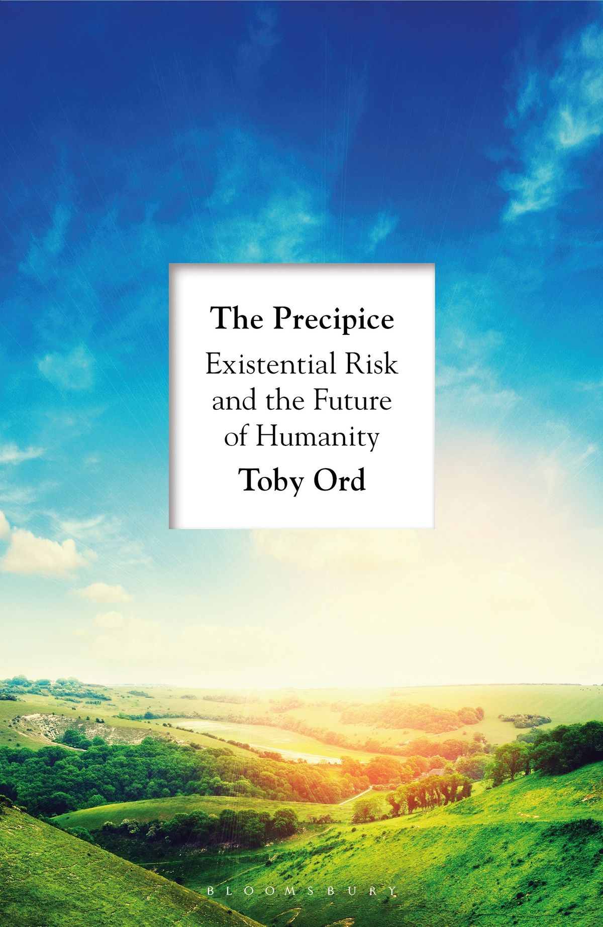 

The Precipice