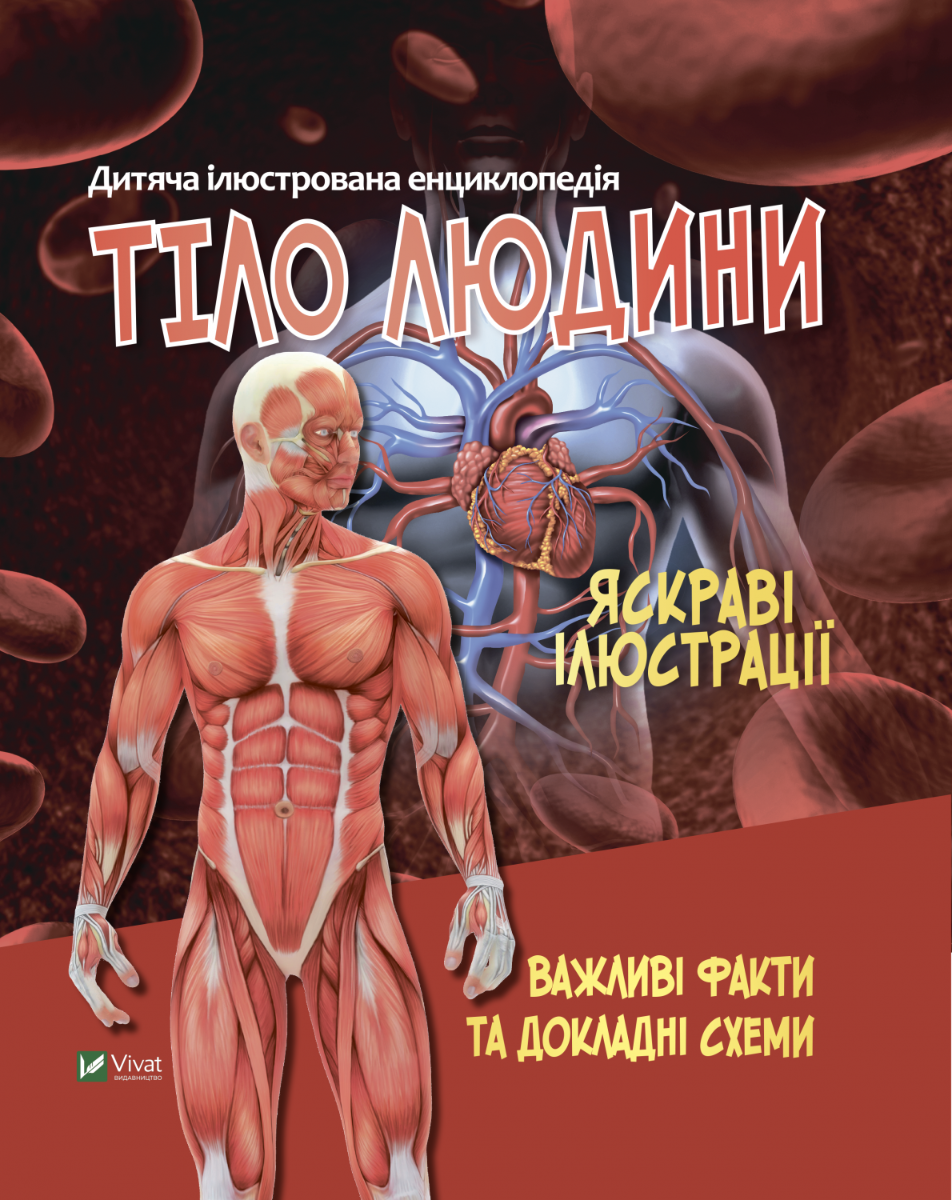 

Тіло людини