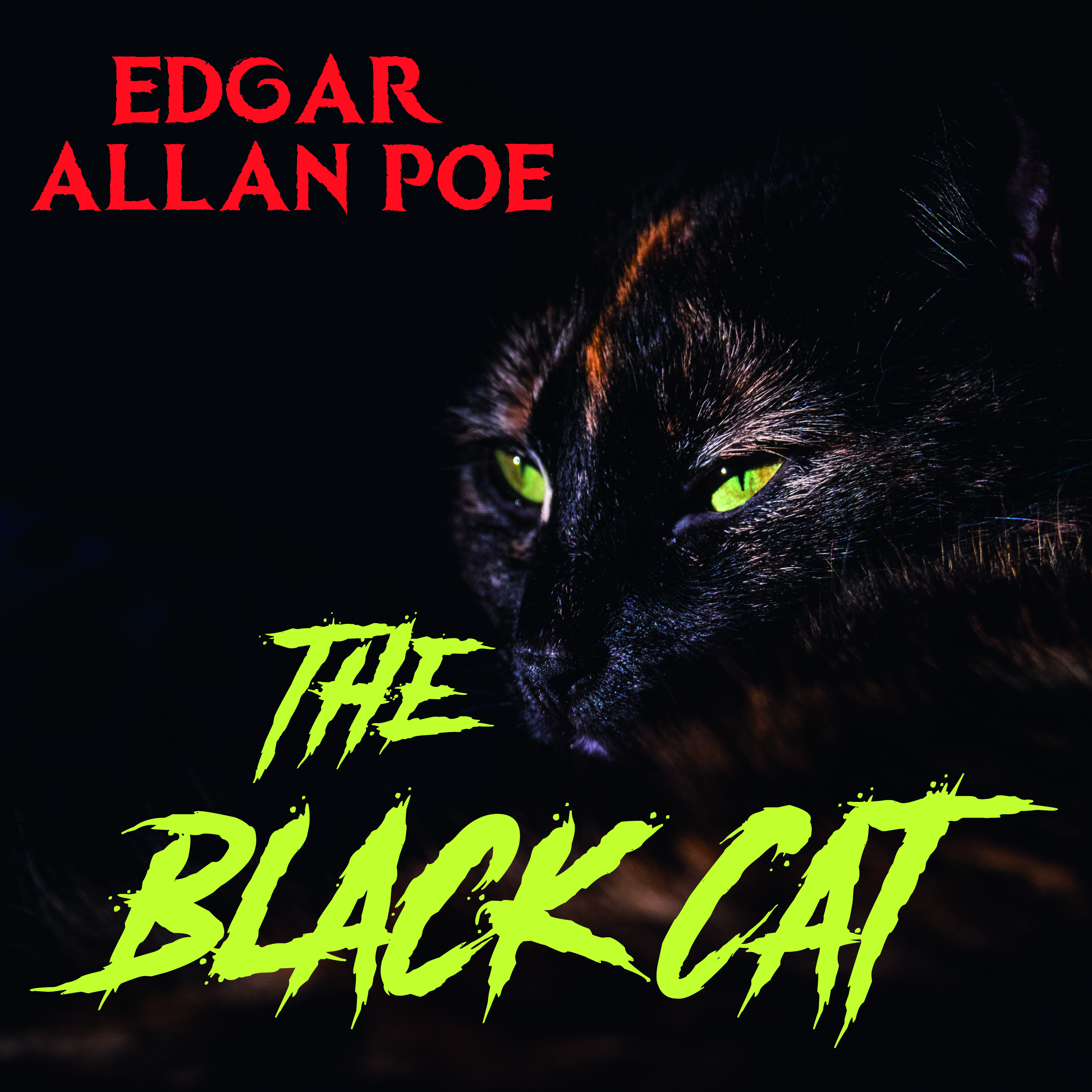 

The Black Cat