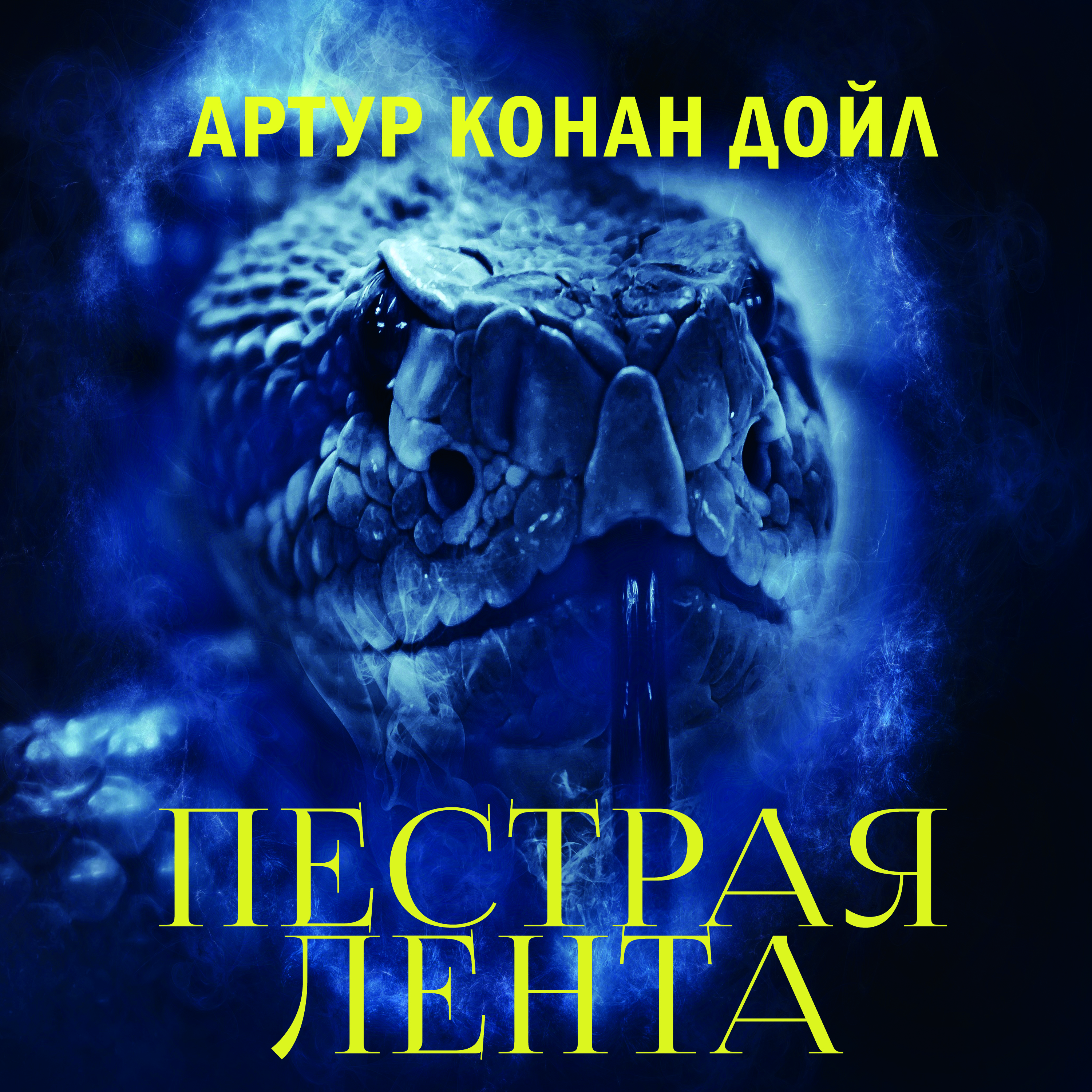 

Пестрая лента