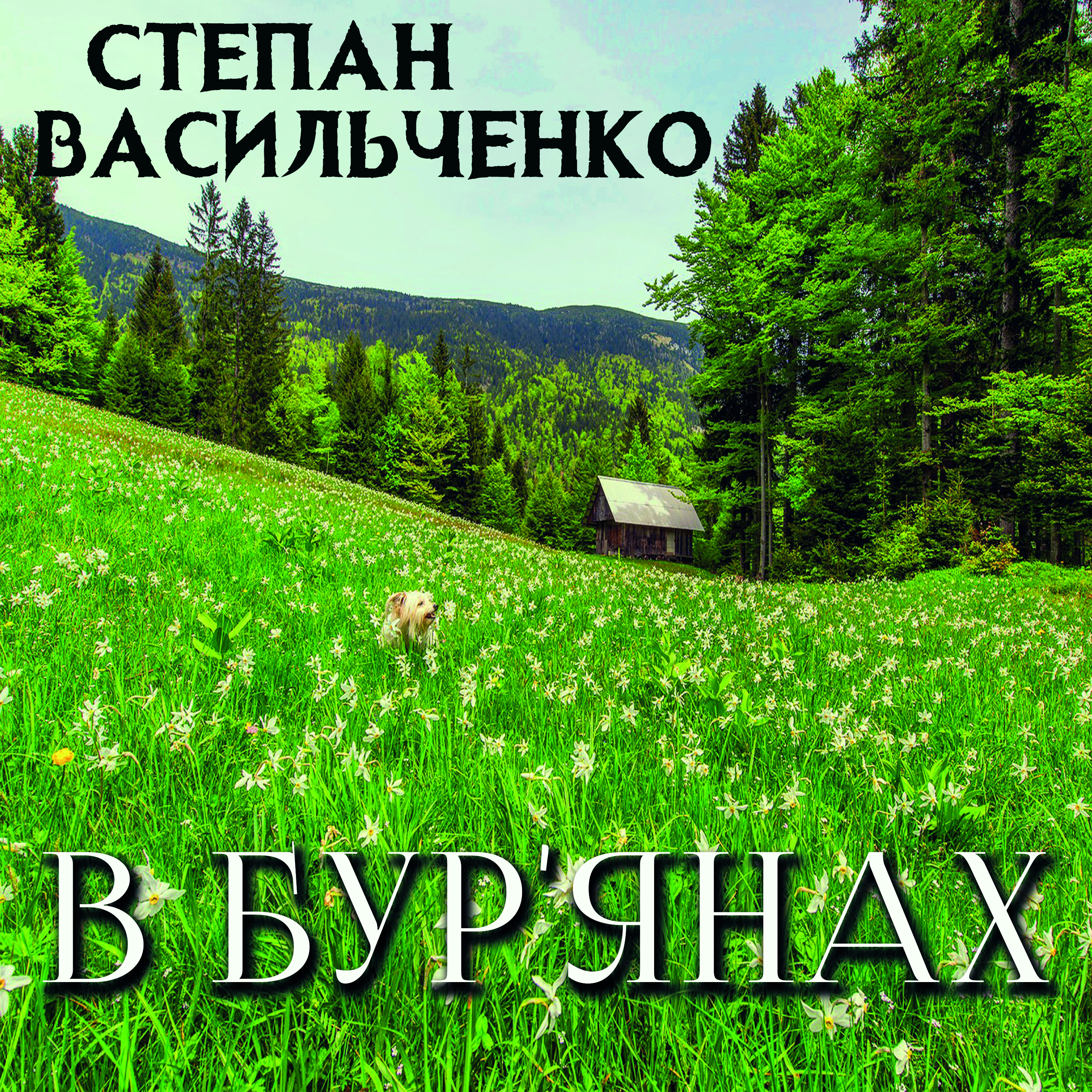 

В бур'янах