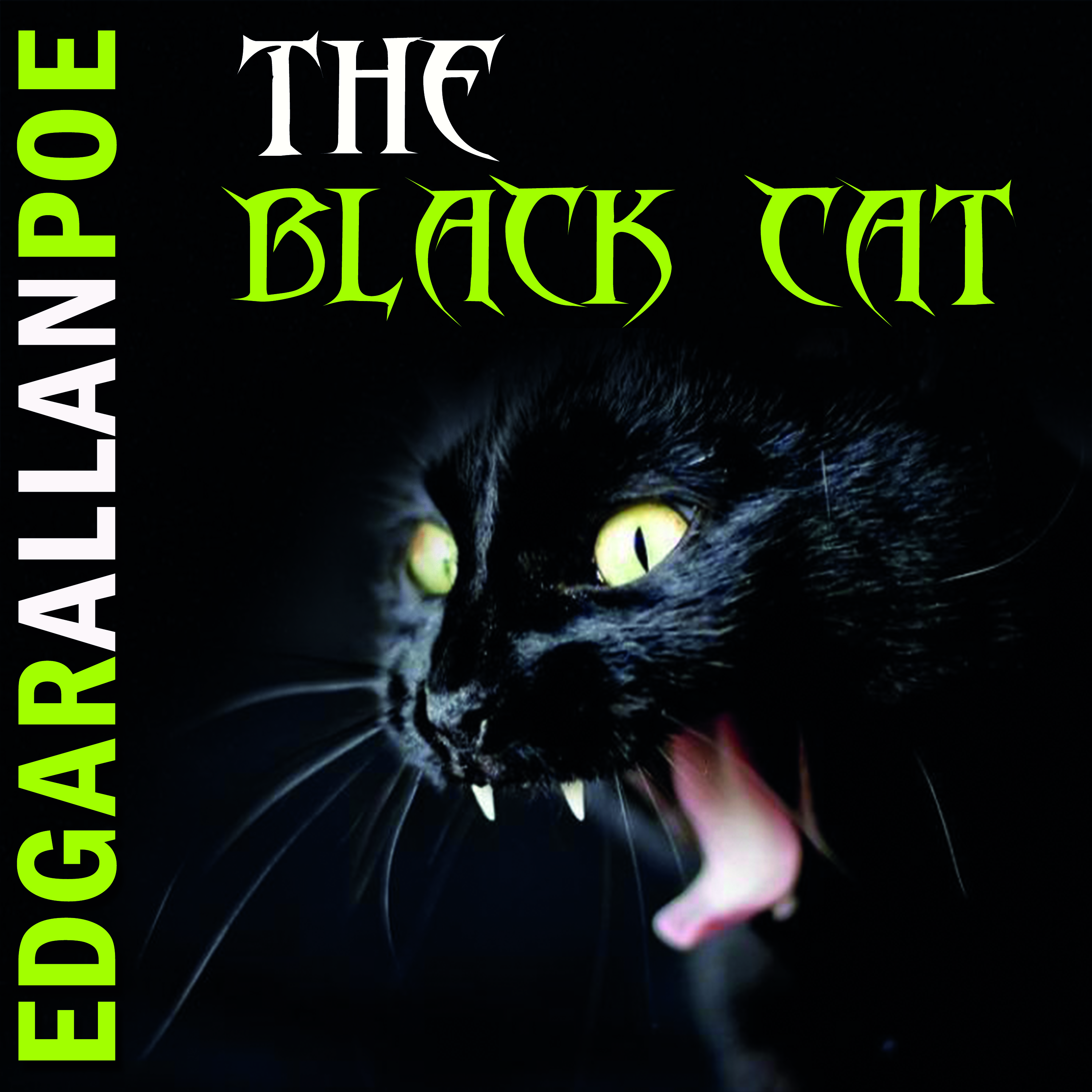

The Black Cat