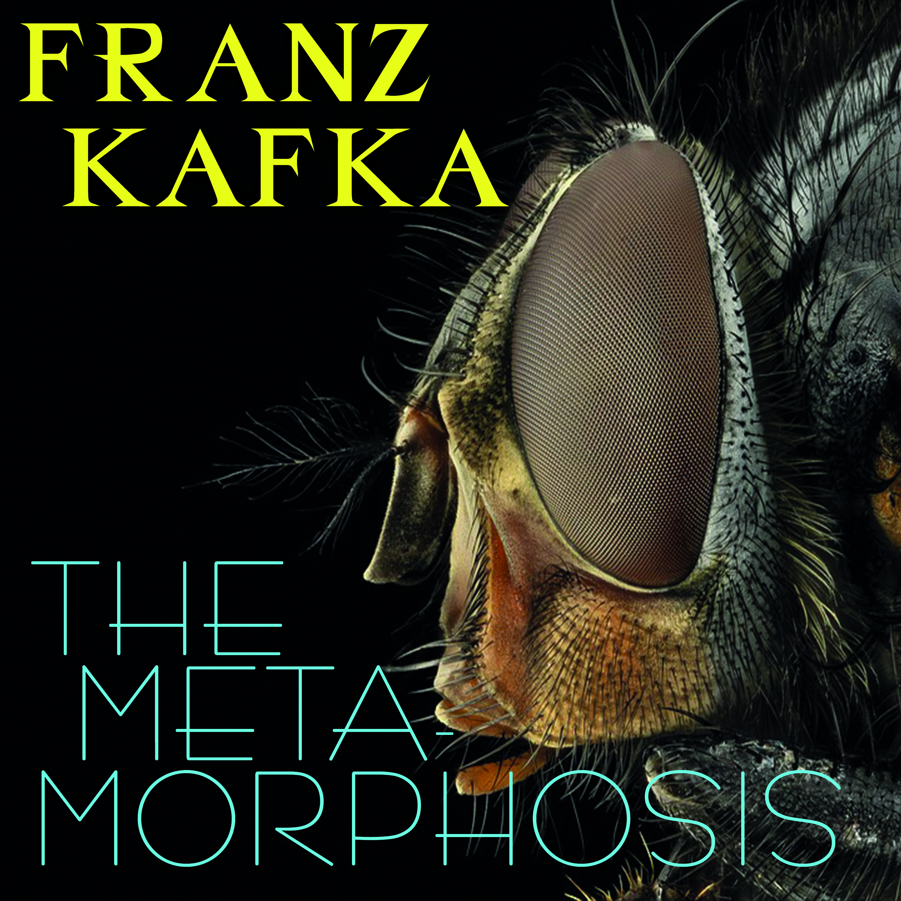 

The Metamorphosis