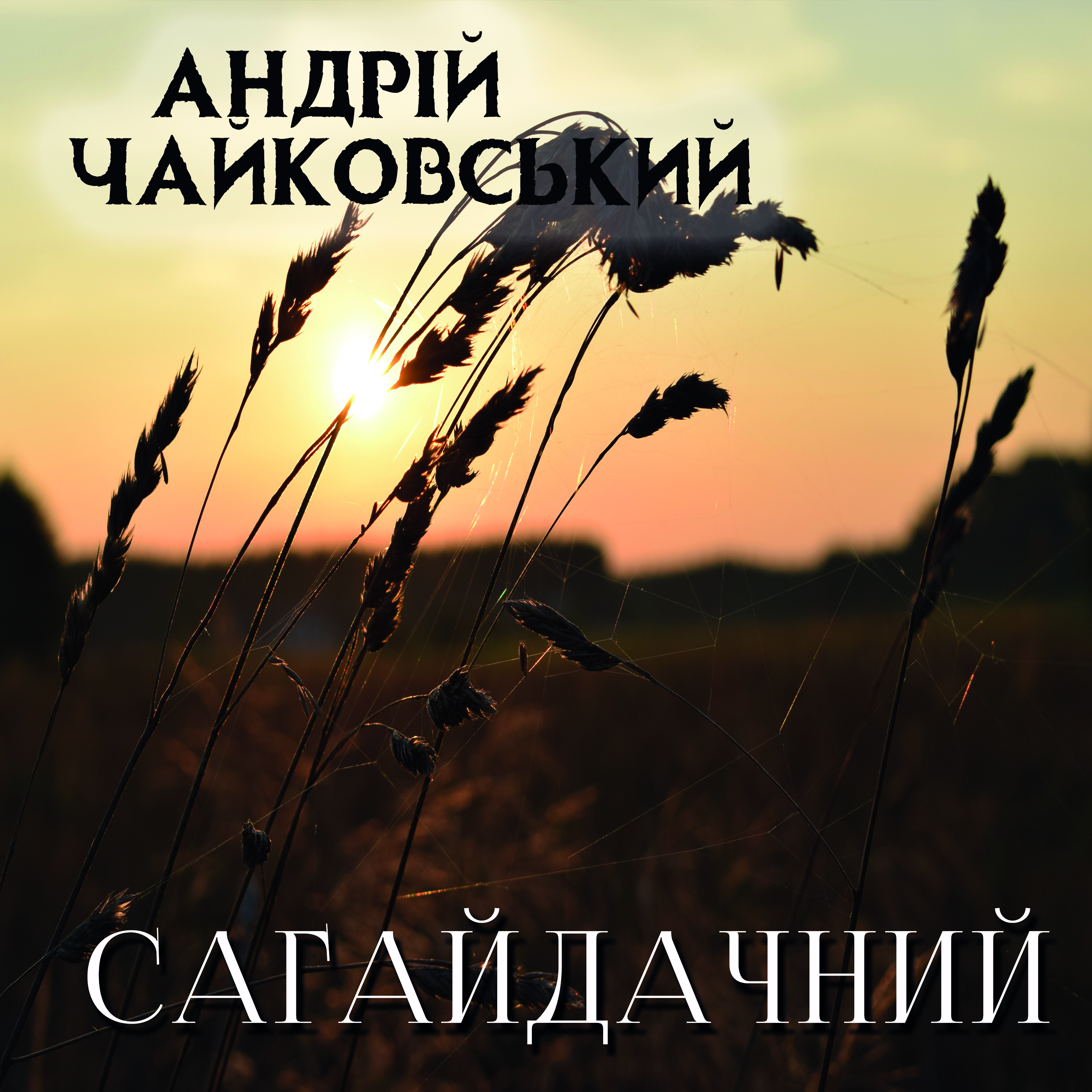 

Сагайдачний