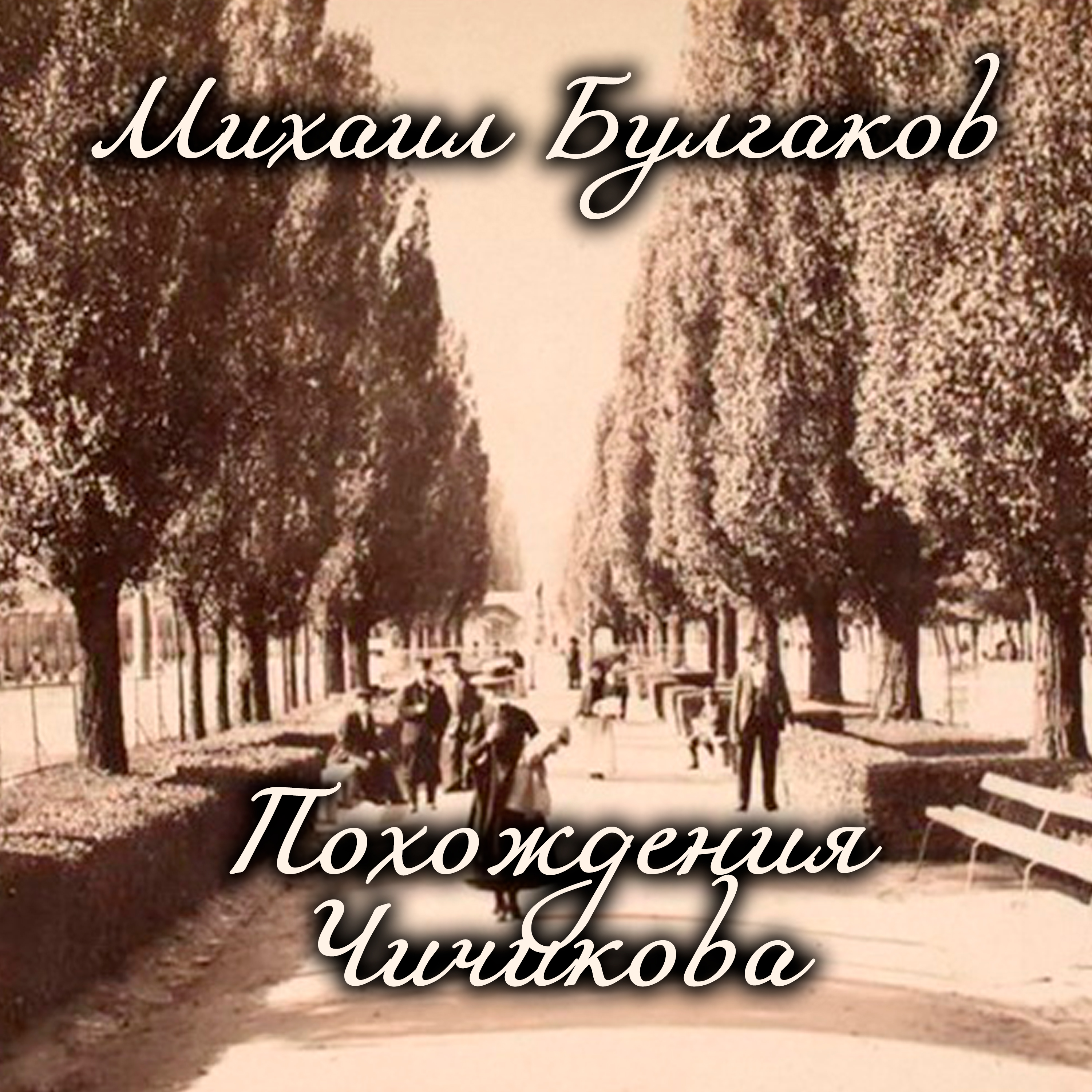 

Похождения Чичикова
