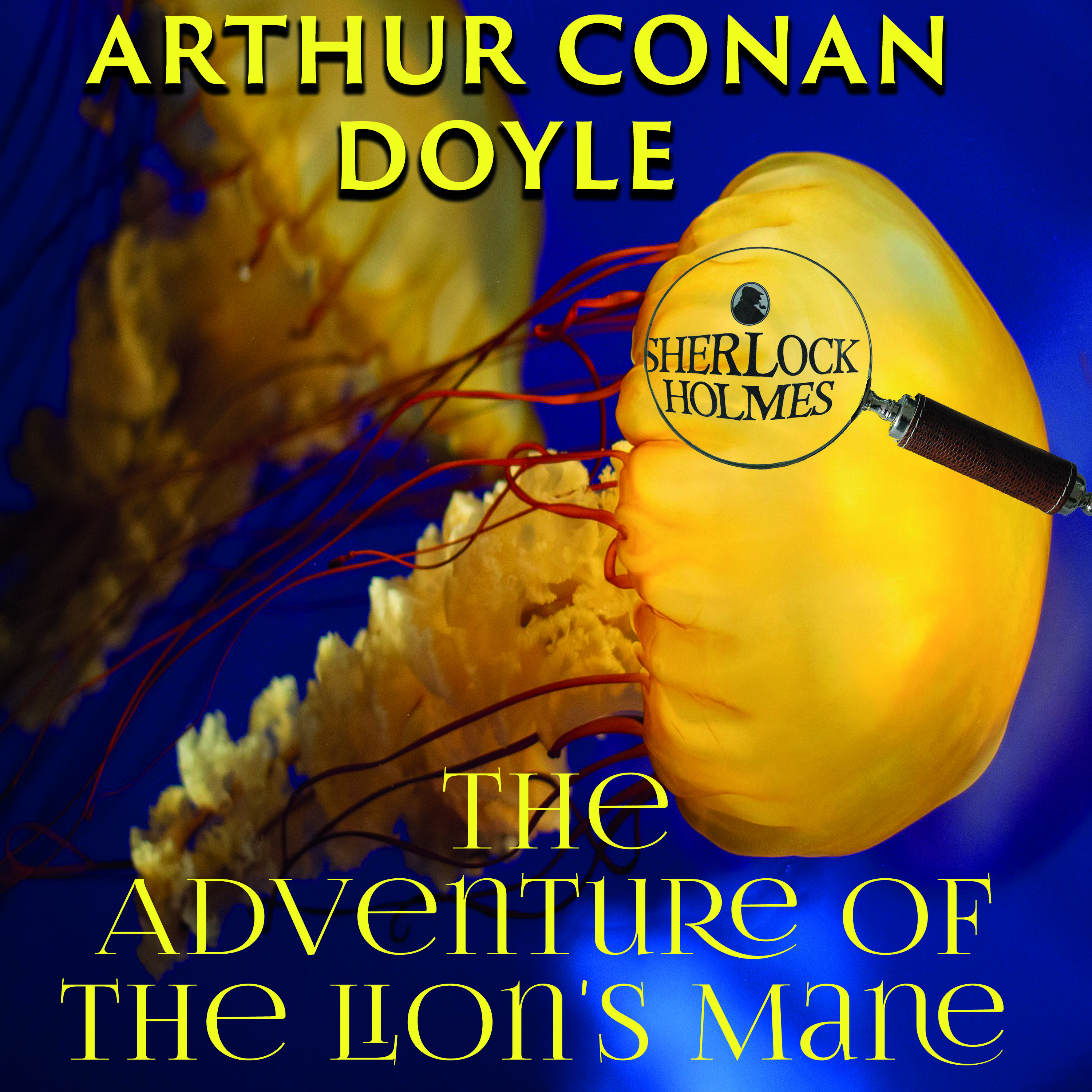 

The Adventure of the Lion's Mane
