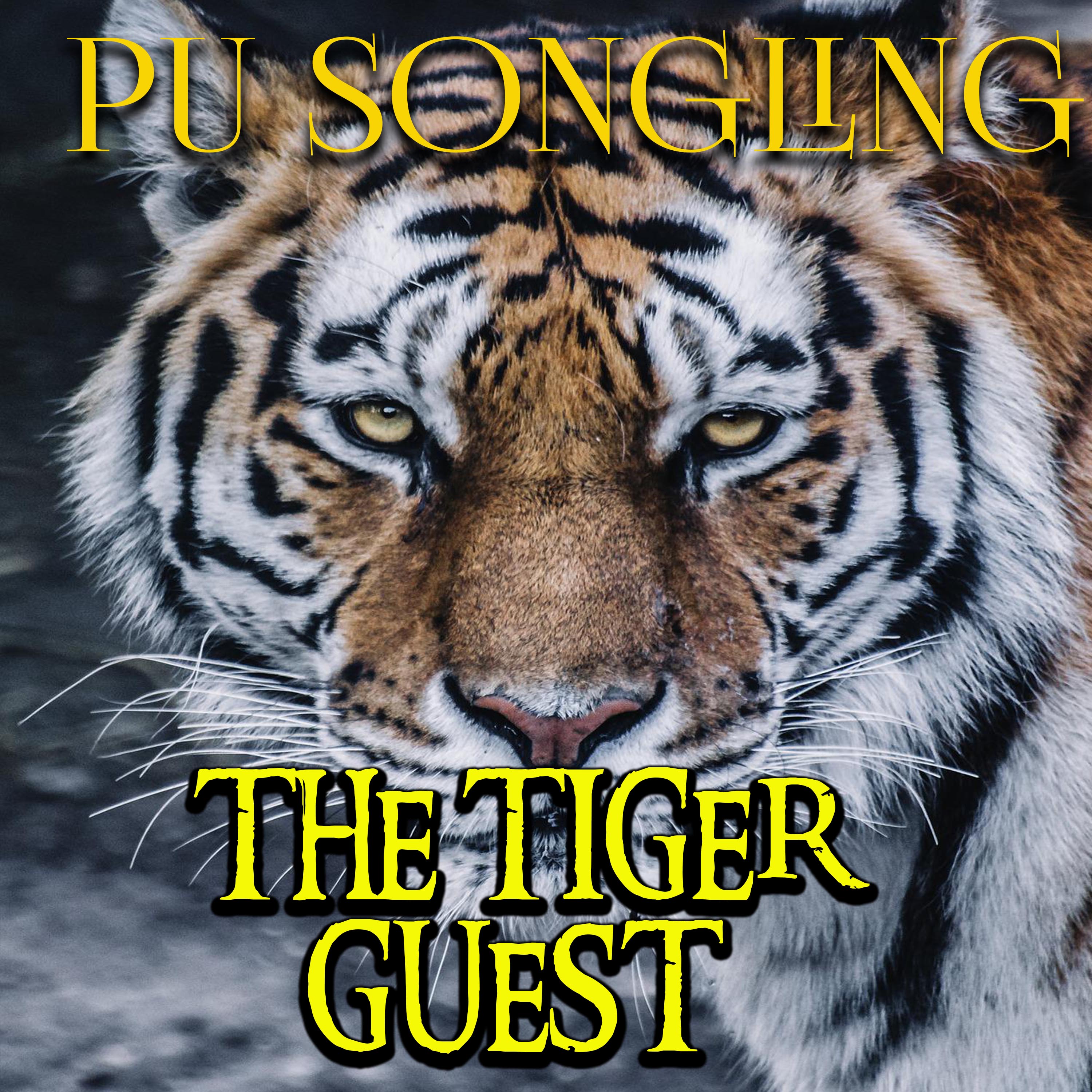 

The Tiger Guest