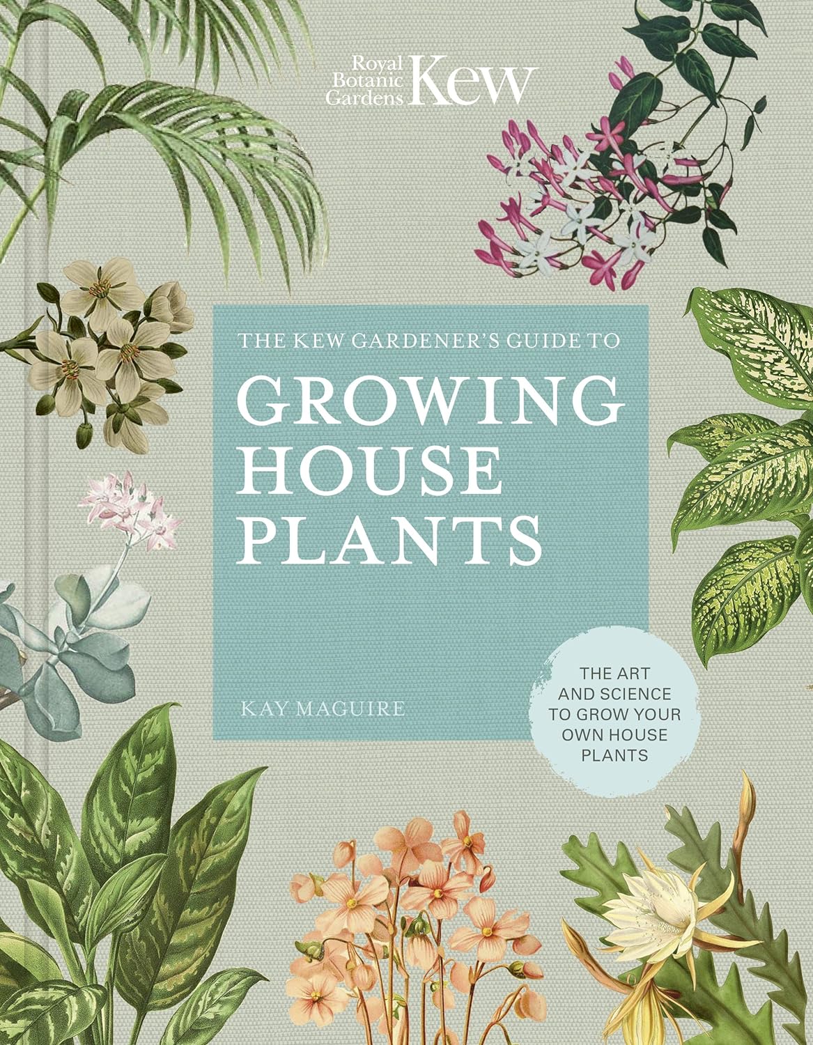Growing House Plants  Kew Mini 