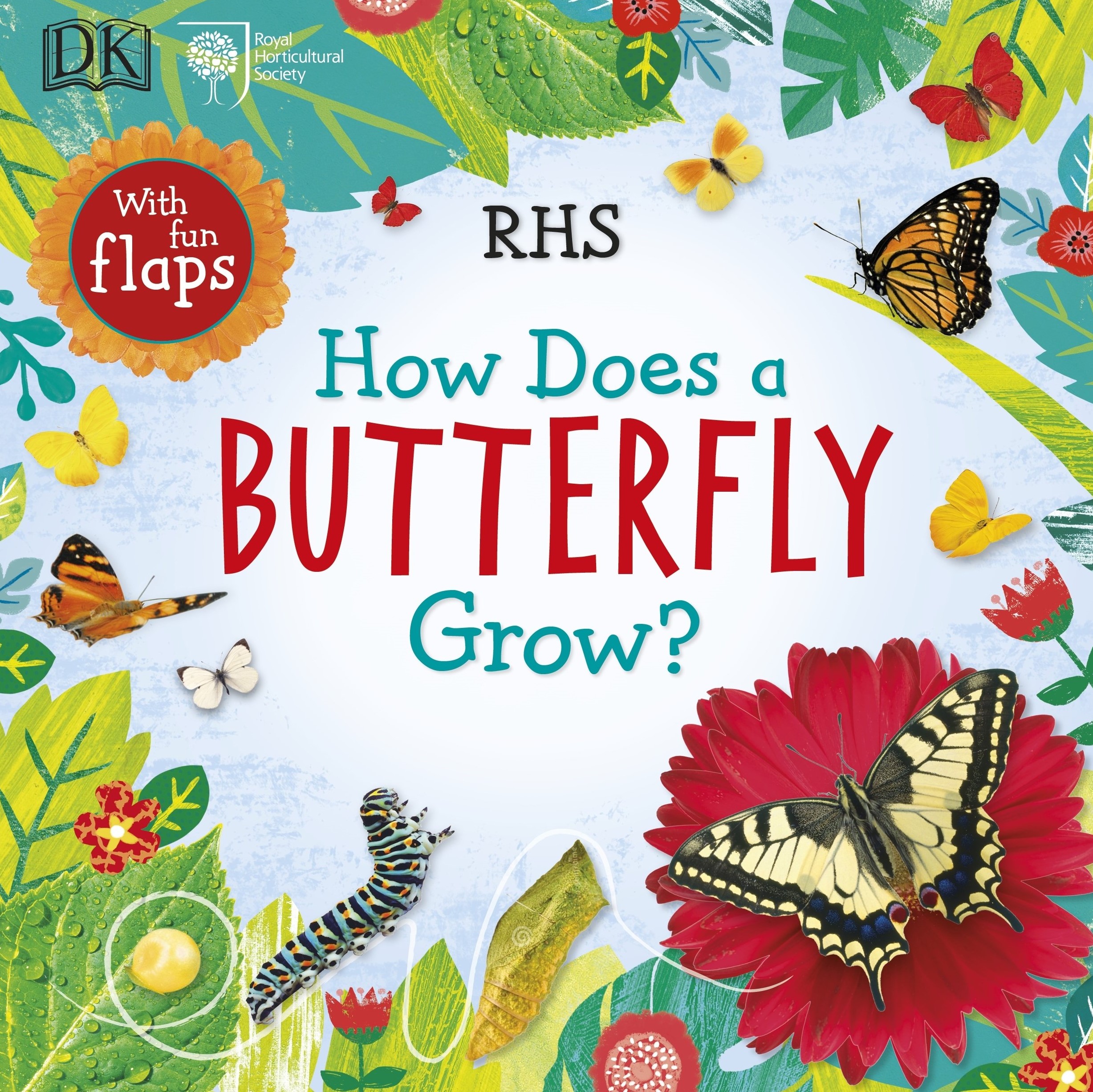 

How Does a Butterfly Grow