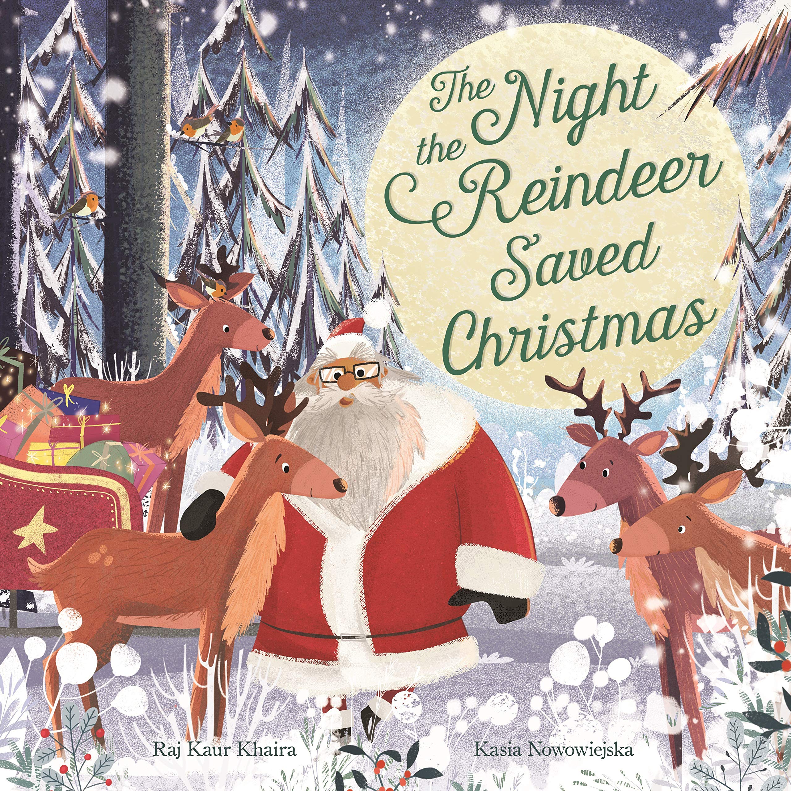 

The Night the Reindeer Saved Christmas