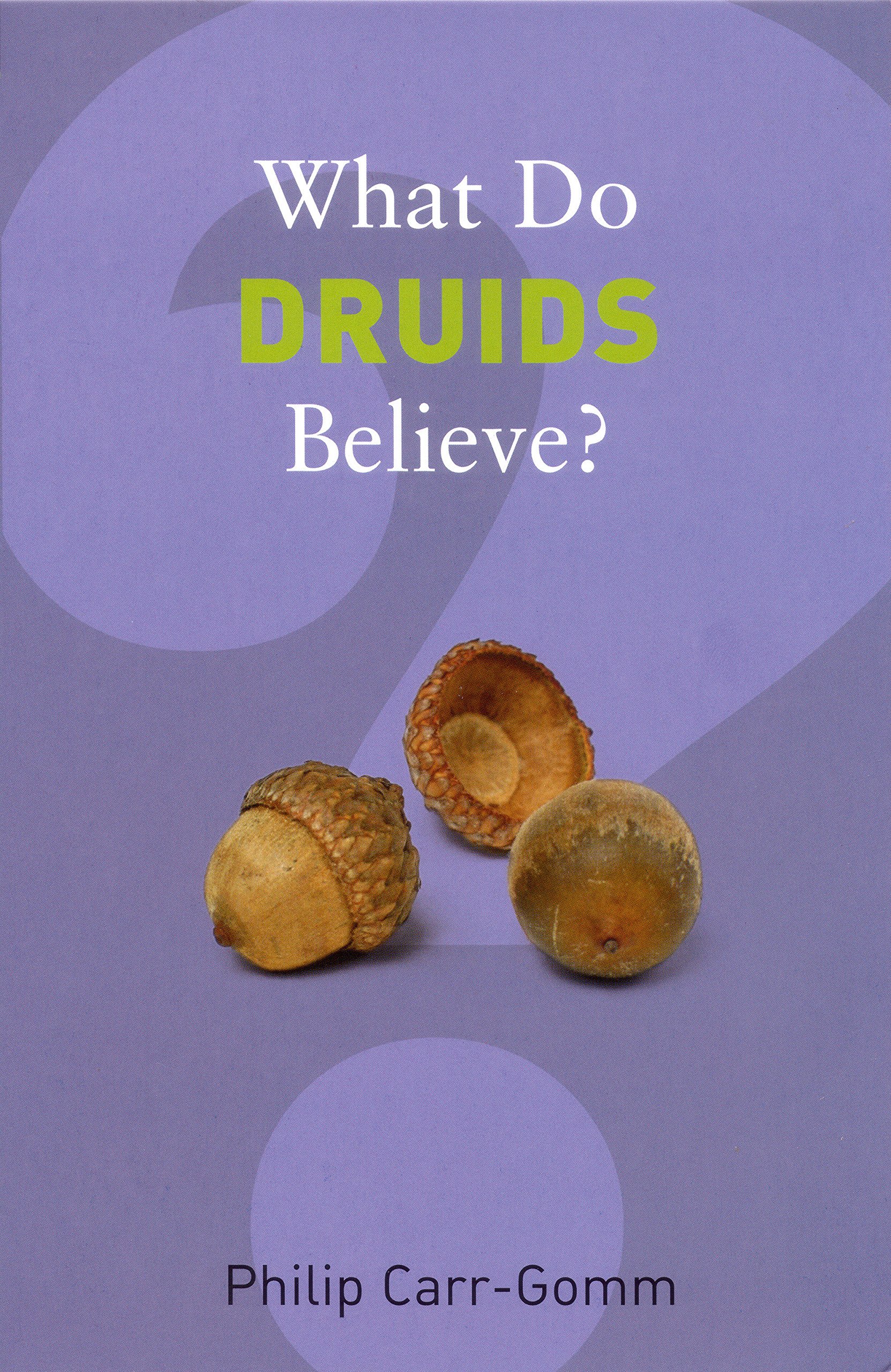 

What Do Druids Believe
