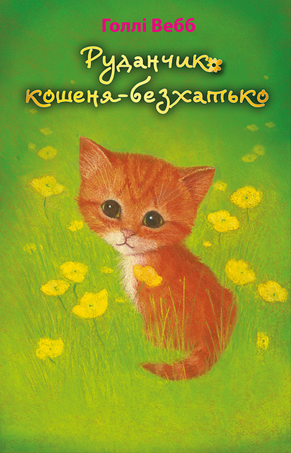 

Руданчик – кошеня-безхатько