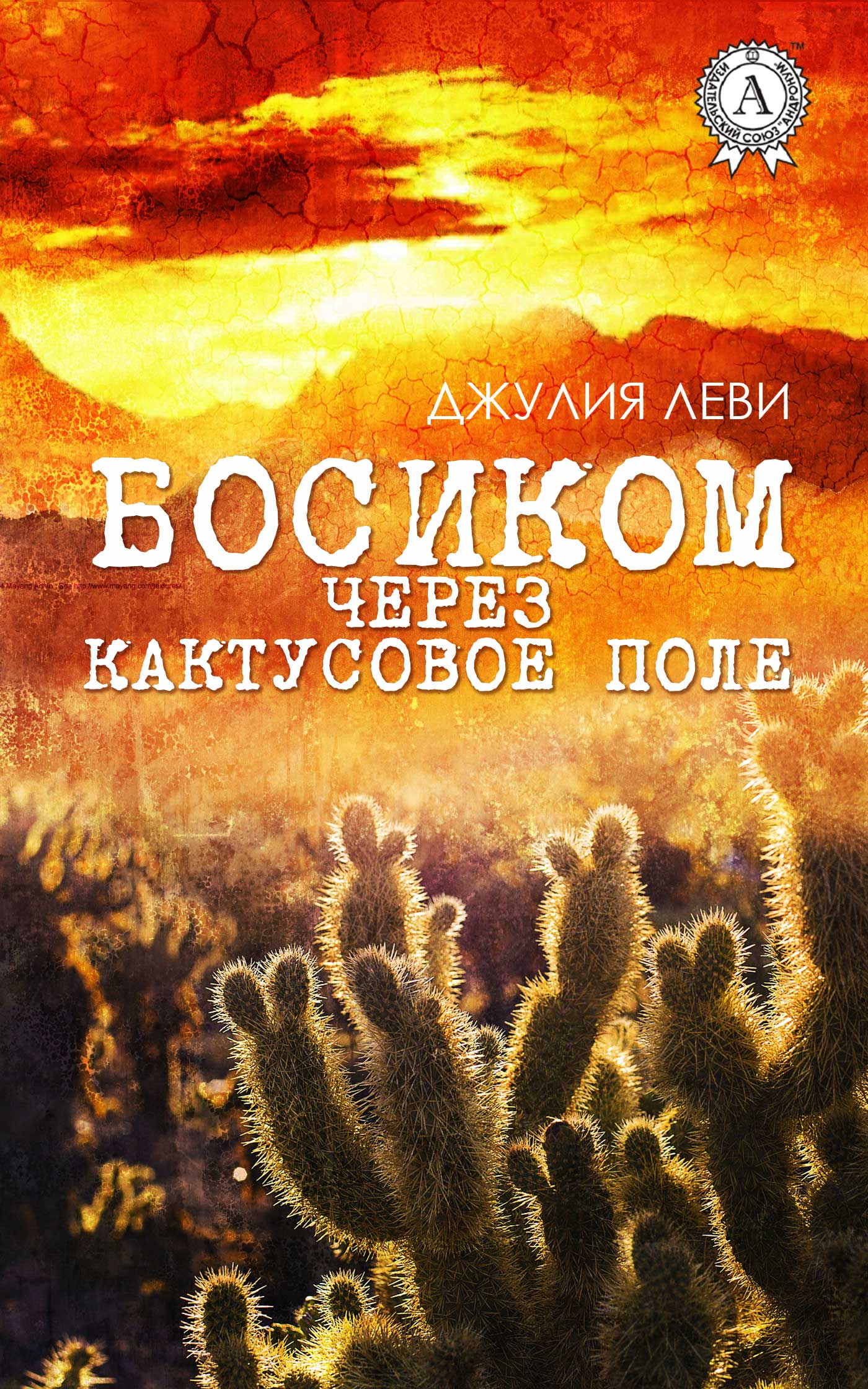 

Босиком через кактусовое поле