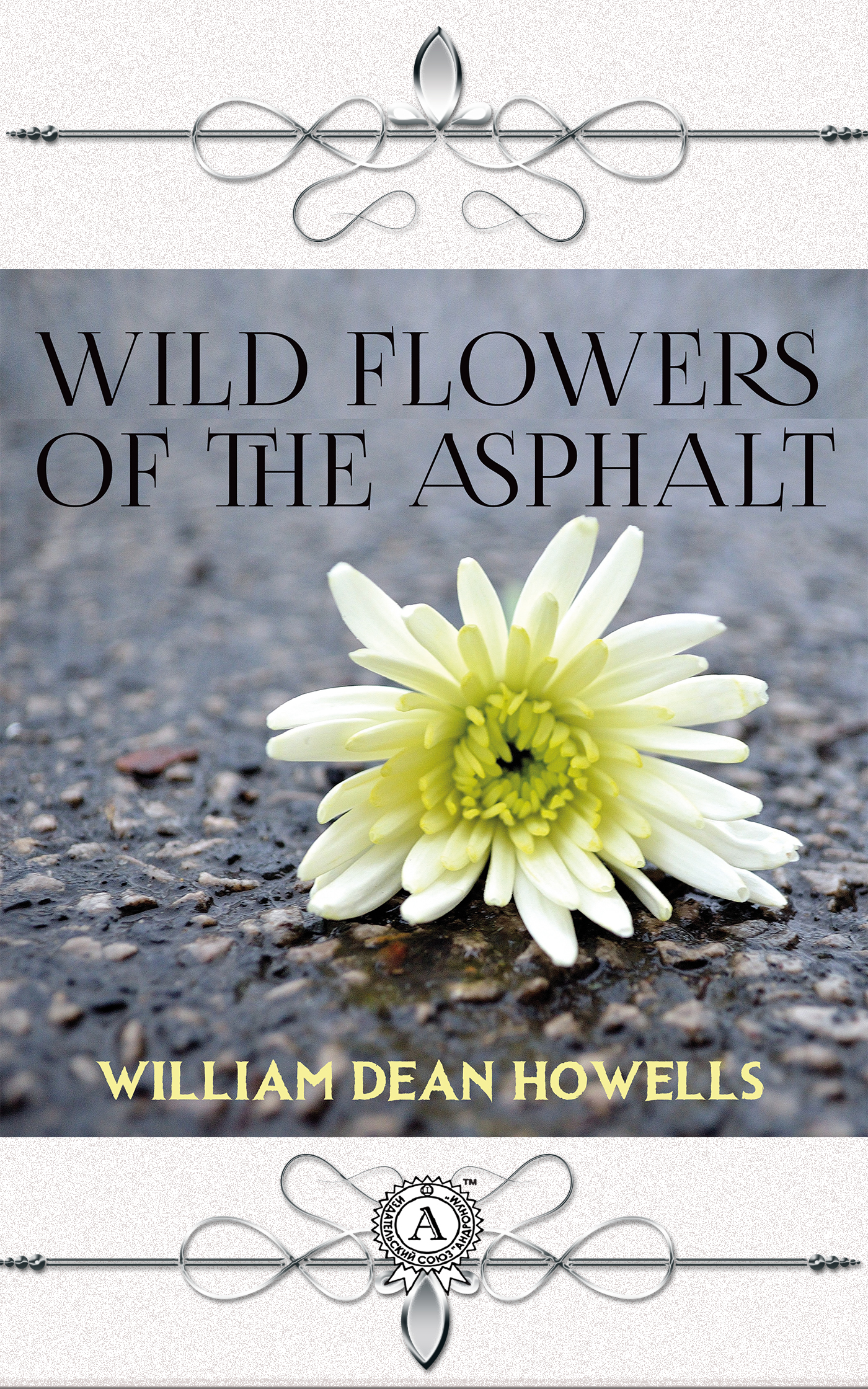 

Wild Flowers of the Asphalt
