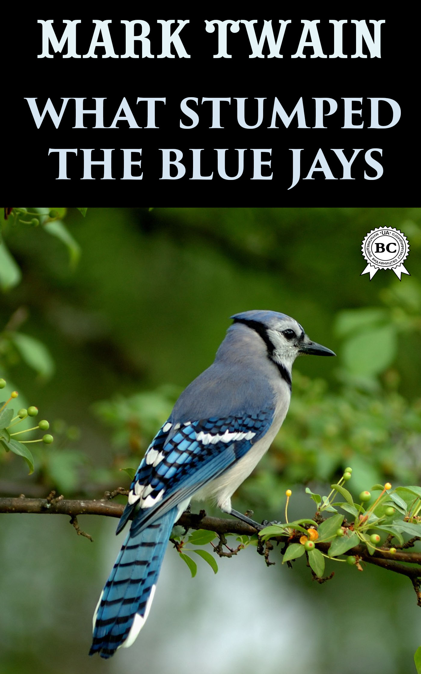 

What Stumped the Blue Jays