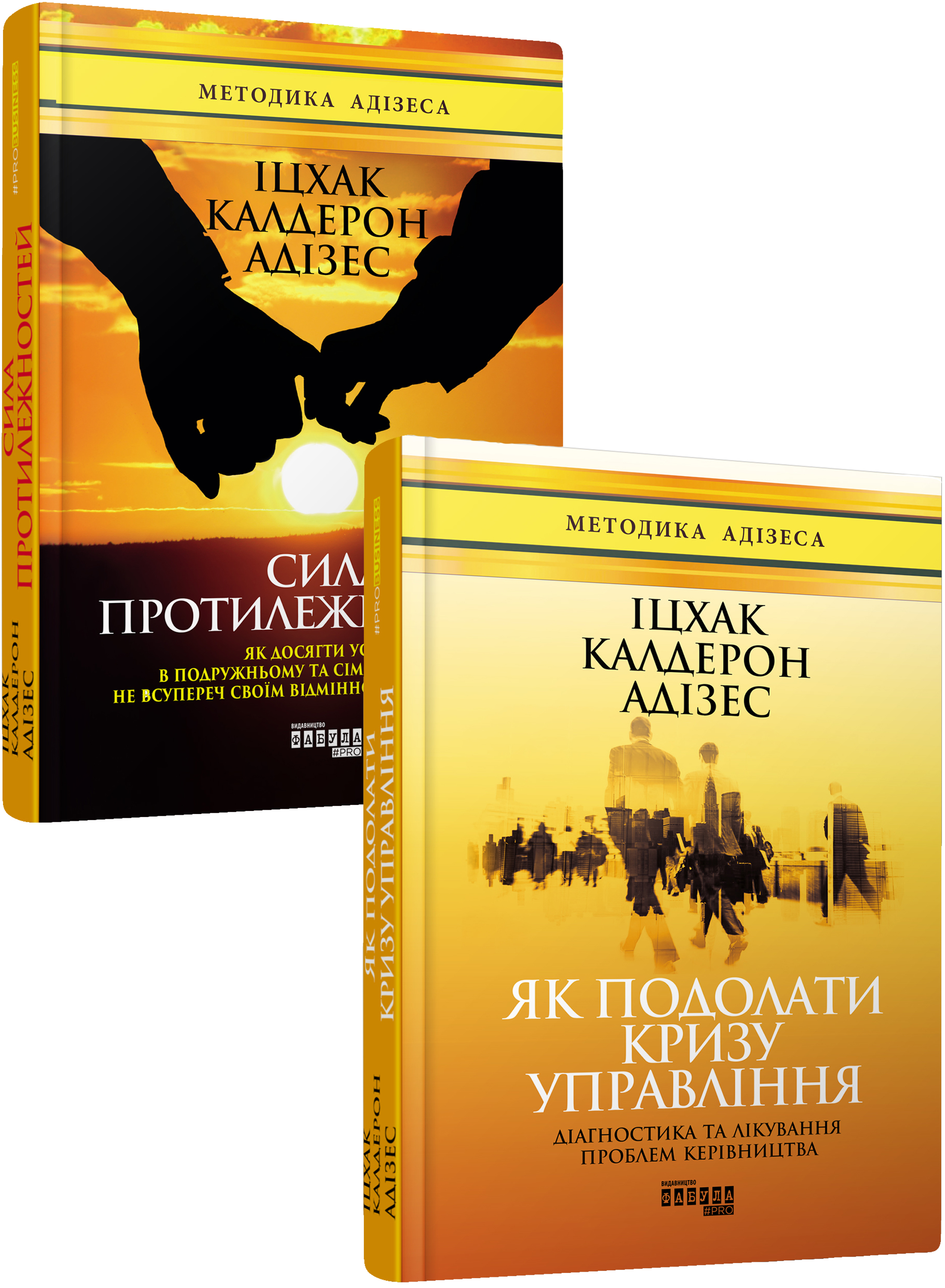 

Іцхак Адізес (комплект із 2 книг)