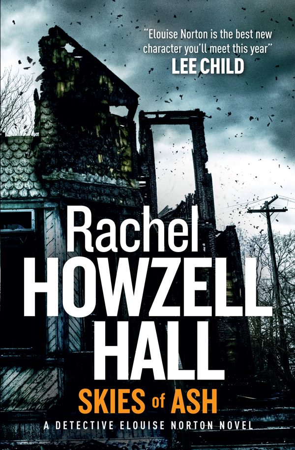 

Skies of Ash. Book 2