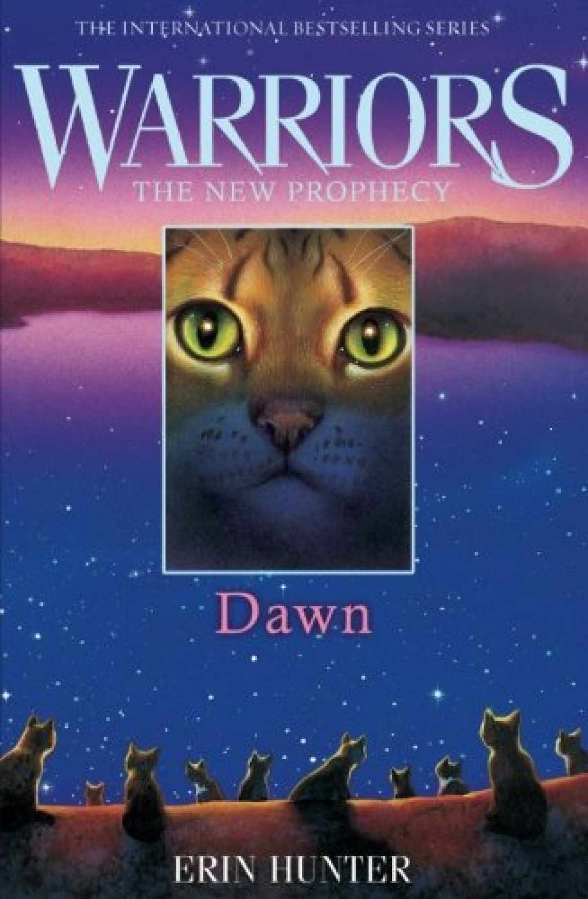 

Warriors. The New Prophecy. Book 3. Dawn