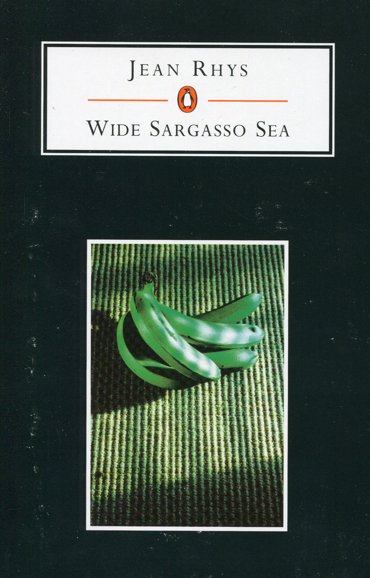 

Wide Sargasso Sea