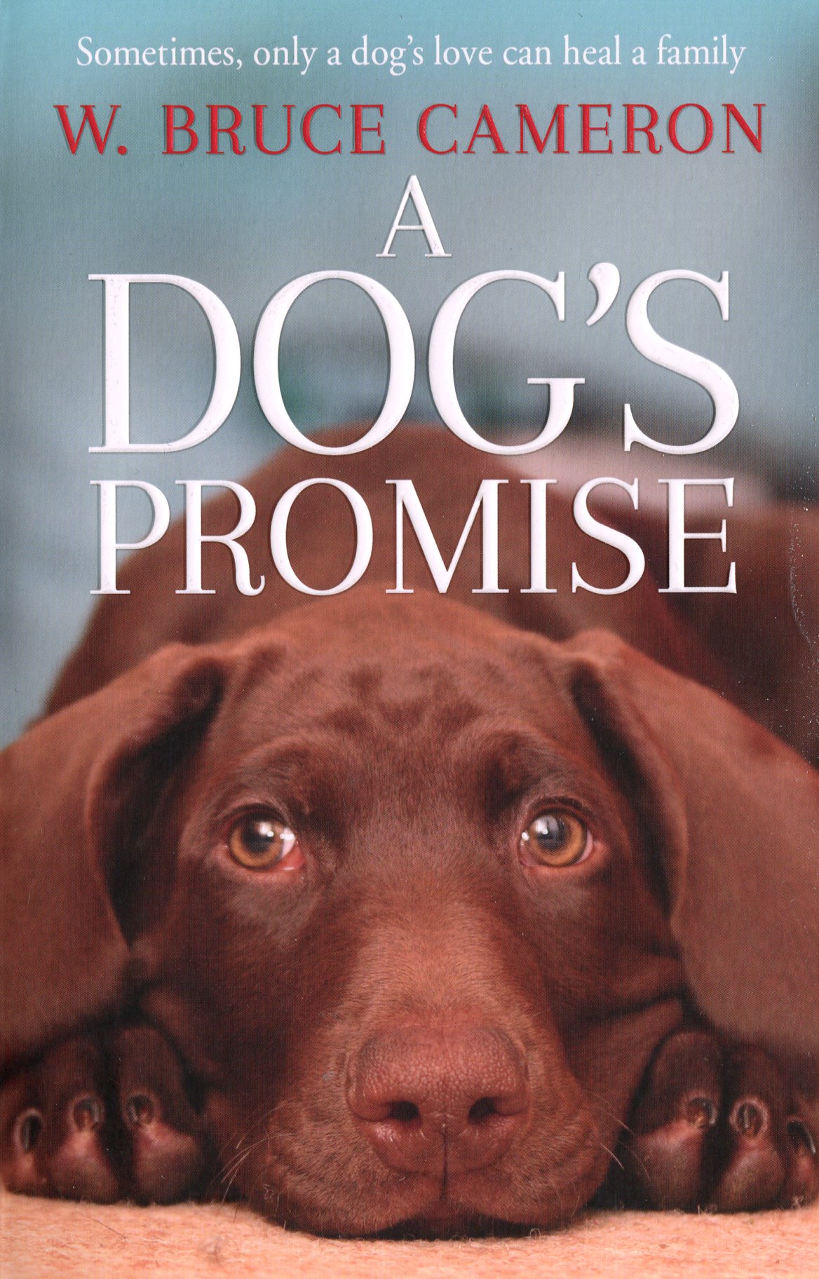 

A Dog's Promise