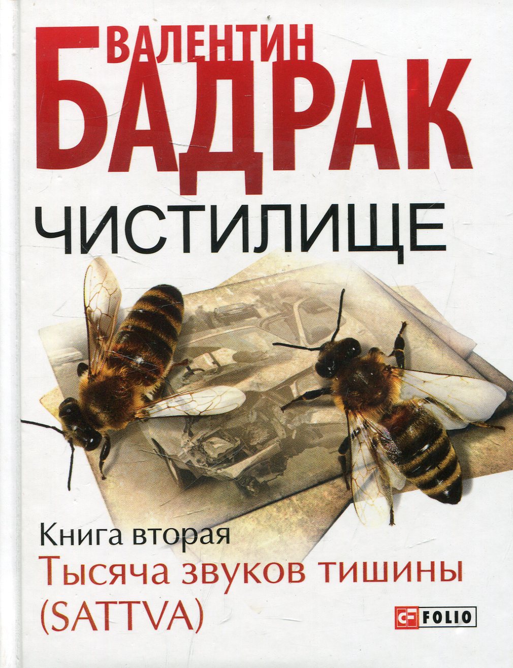 

Чистилище. Книга 2. Тысяча звуков тишины