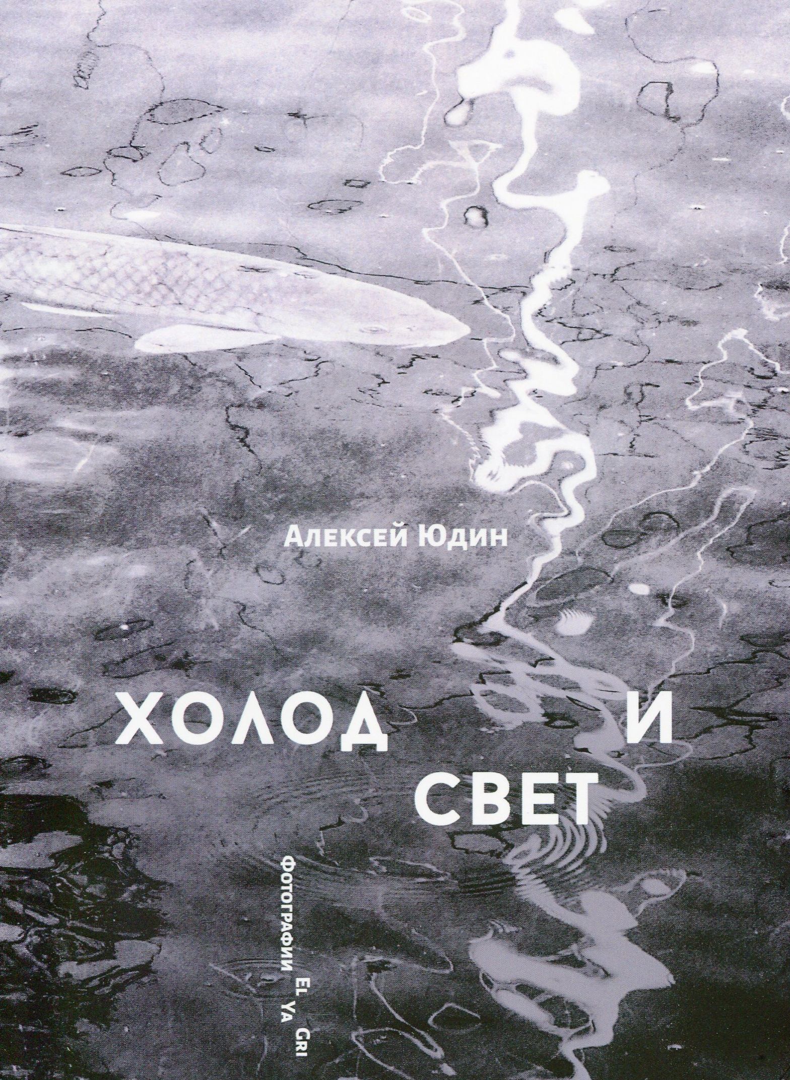 

Холод и свет. Музыка из окон
