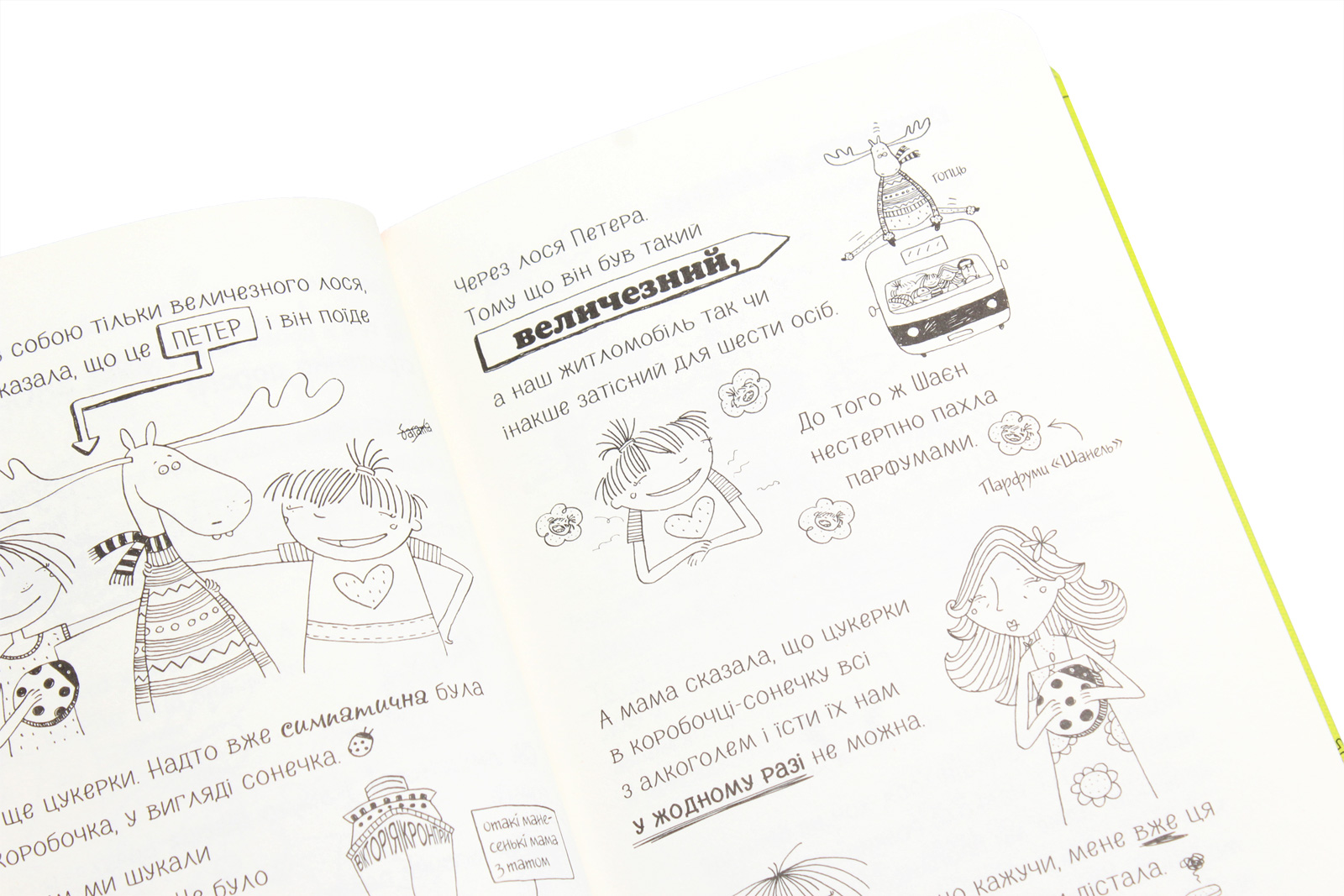 Лотта та її "катастрофи". Книга 6. Останній цьомчик лося — фото 7