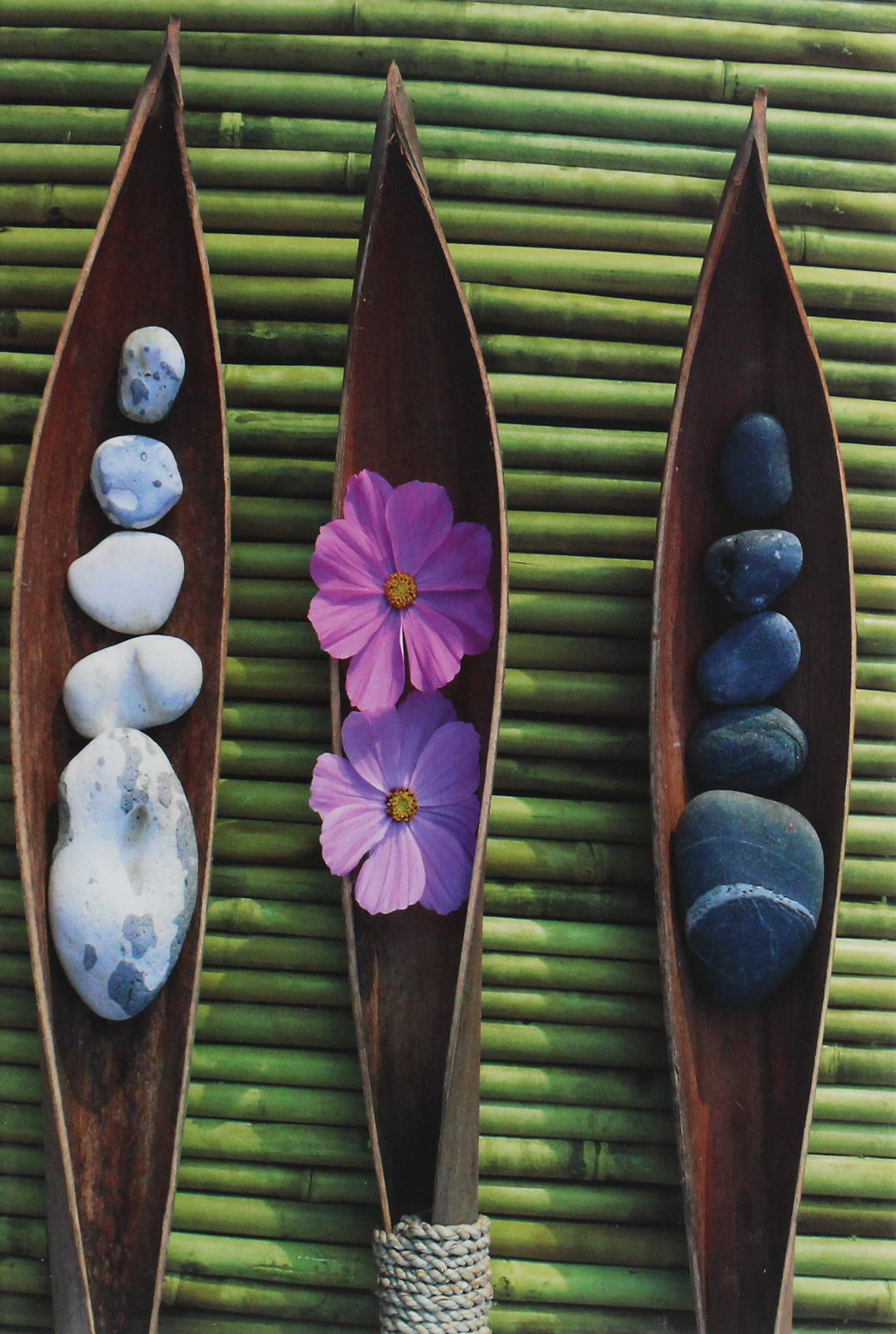 

Zen Nature