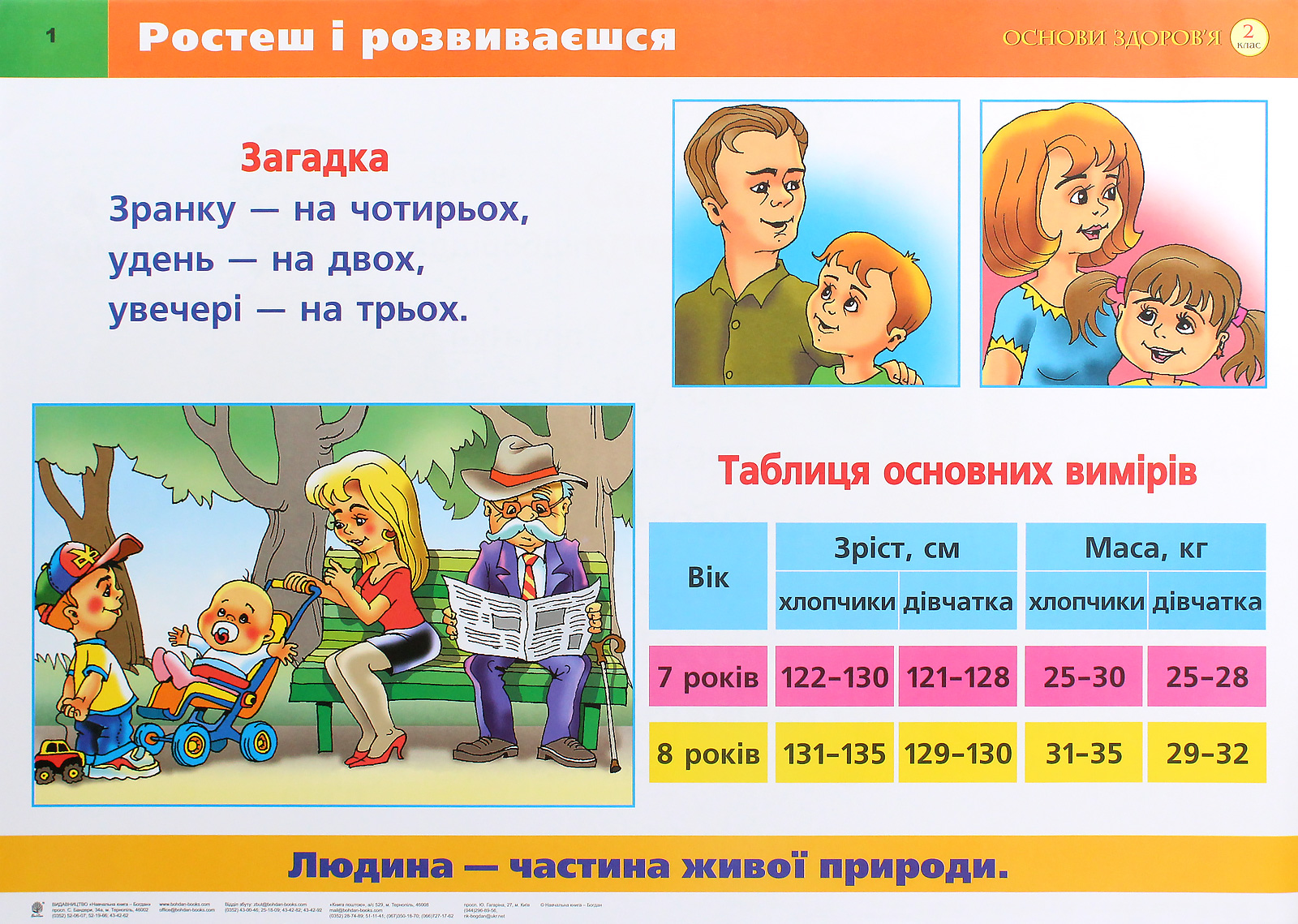 Я досліджую світ. Основи здоров'я. 2 клас. Таблиці — фото 2