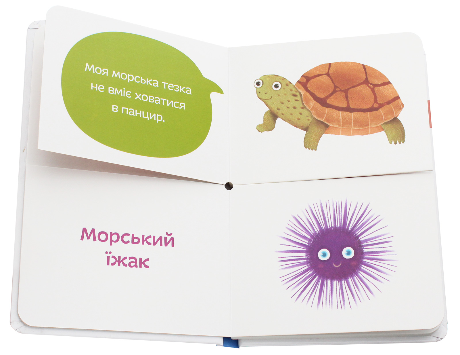 Морські тезки — фото 5