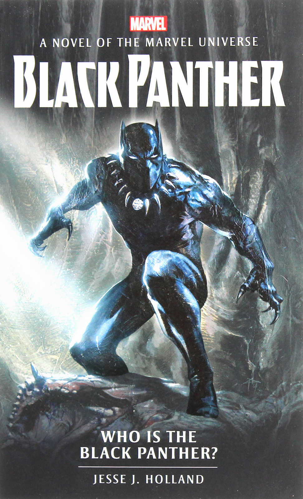

Who is the Black Panther