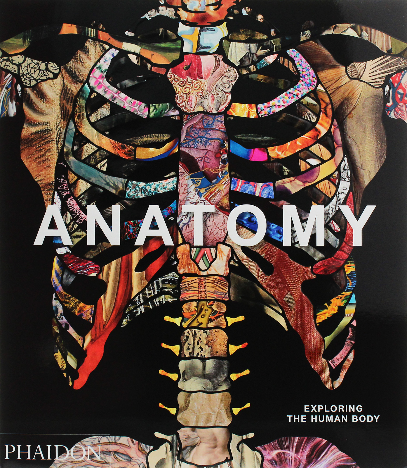 

Anatomy. Exploring the Human Body