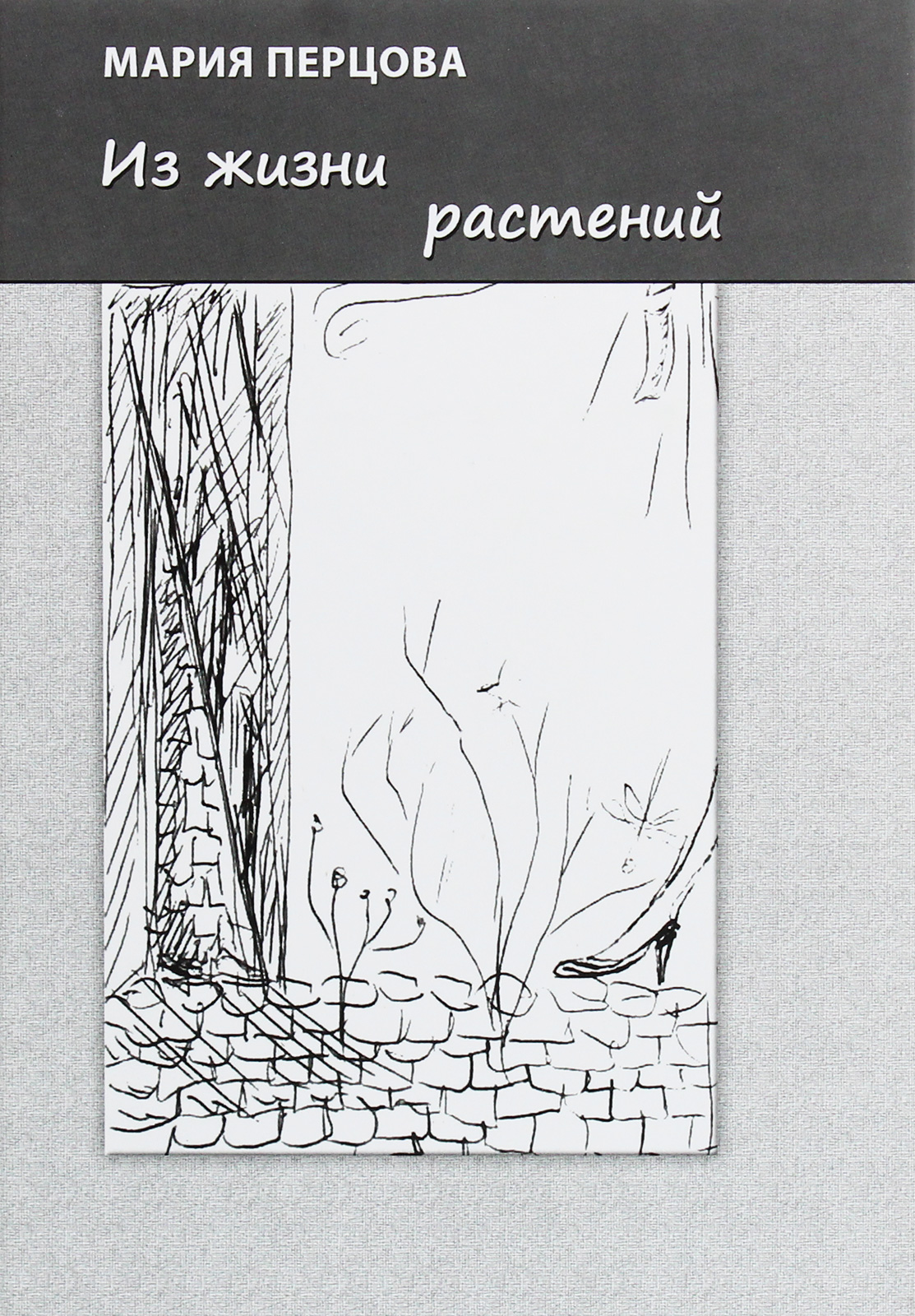 

Из жизни растений