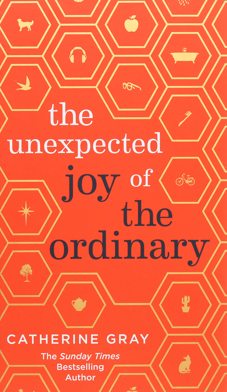

The Unexpected Joy of the Ordinary