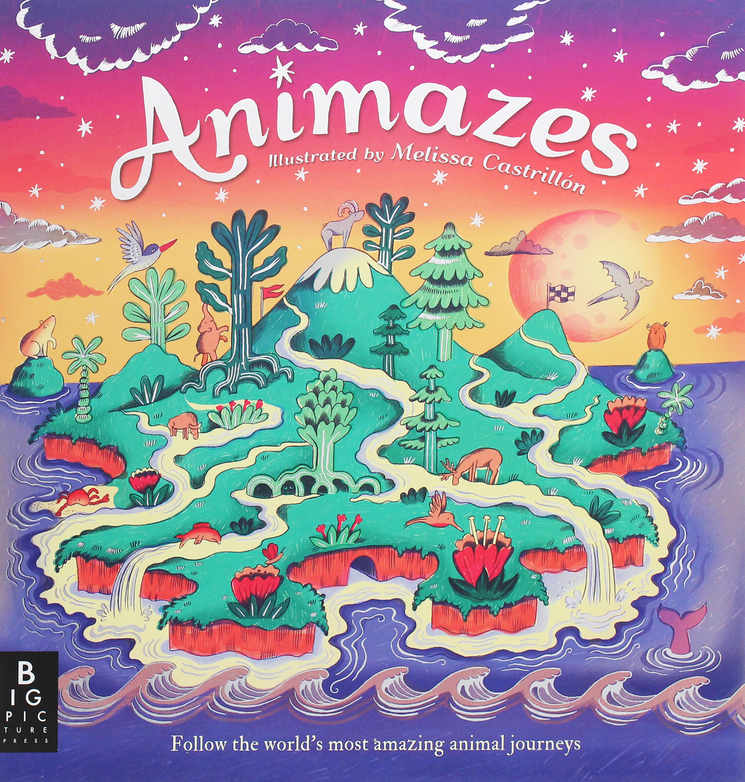 

Animazes