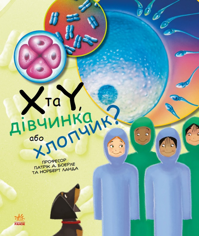 

Х та Y, дівчинка або хлопчик