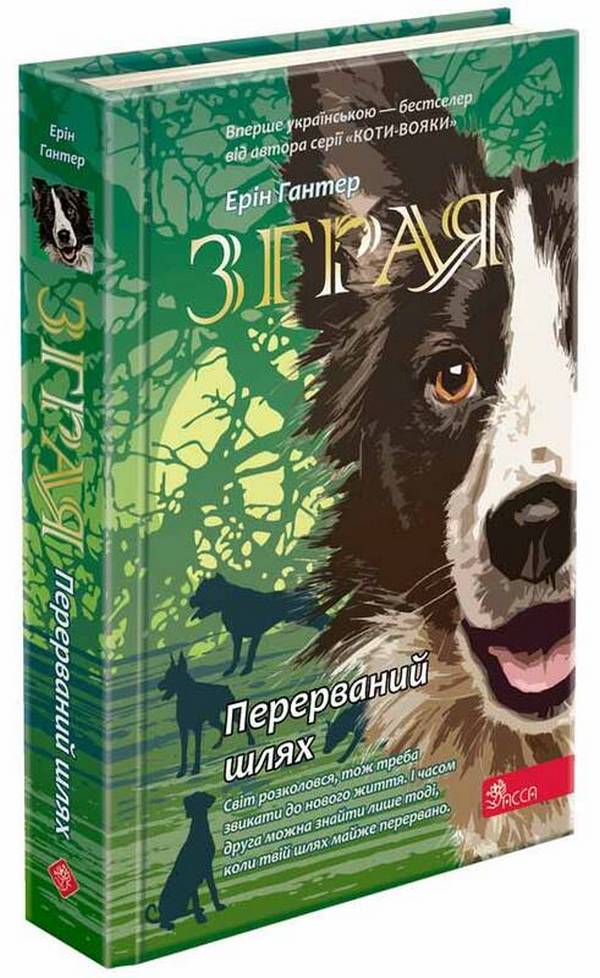 

Зграя. Книга 4. Перерваний шлях