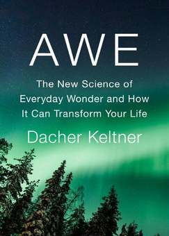 Бумажная книга «Awe : The Transformative Power of Everyday Wonder», автор Дакер Келтнер - фото №2 - миниатюра