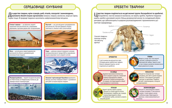 Бумажная книга «Дикі тварини. 50 найвідоміших видів: міні-енциклопедія» - фото №3 - миниатюра