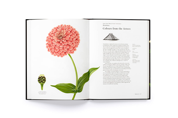 Паперова книга «The Story of Flowers : And How They Changed the Way We Live», автор Ноель Кінгсбері - фото №6 - мініатюра