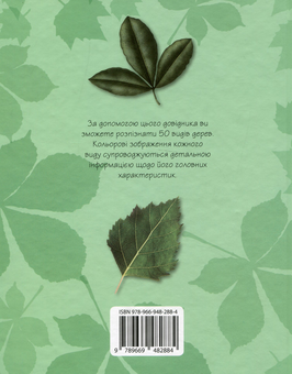 Паперова книга «Дерева. Міні-енциклопедія» - фото №5 - мініатюра