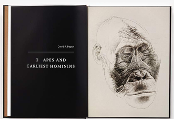 Бумажная книга «Lost Anatomies: The Evolution of the Human Form», автор Джон Гурче - фото №4 - миниатюра