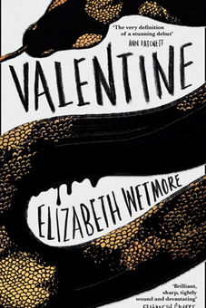 Паперова книга «Valentine», автор Елізабет Ветмор - фото №2 - мініатюра