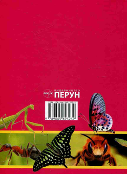 Бумажная книга «Англійсько-український ентомологічний словник / Entomological Dictionary English-Ukrainian» - фото №2 - миниатюра