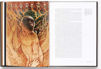 Бумажная книга «Lost Anatomies: The Evolution of the Human Form», автор Джон Гурче - фото №5 - миниатюра