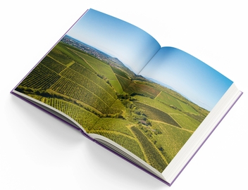 Бумажная книга «Wines of Ukraine. The Untold Story», автор Сергей Климов - фото №8 - миниатюра