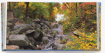 Бумажная книга «Seeing Central Park. The Official Guide Updated and Expanded», автор Сара Миллер - фото №5 - миниатюра